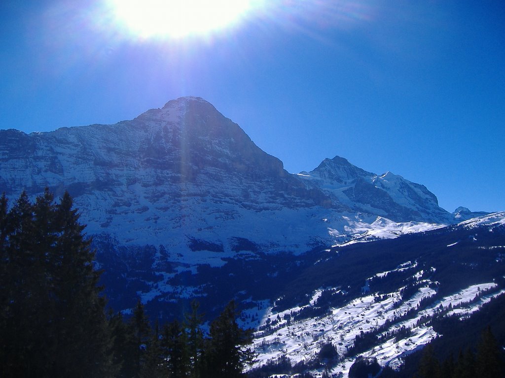 Eiger, Mönch und Jungfrau (February 2008) by speedy17