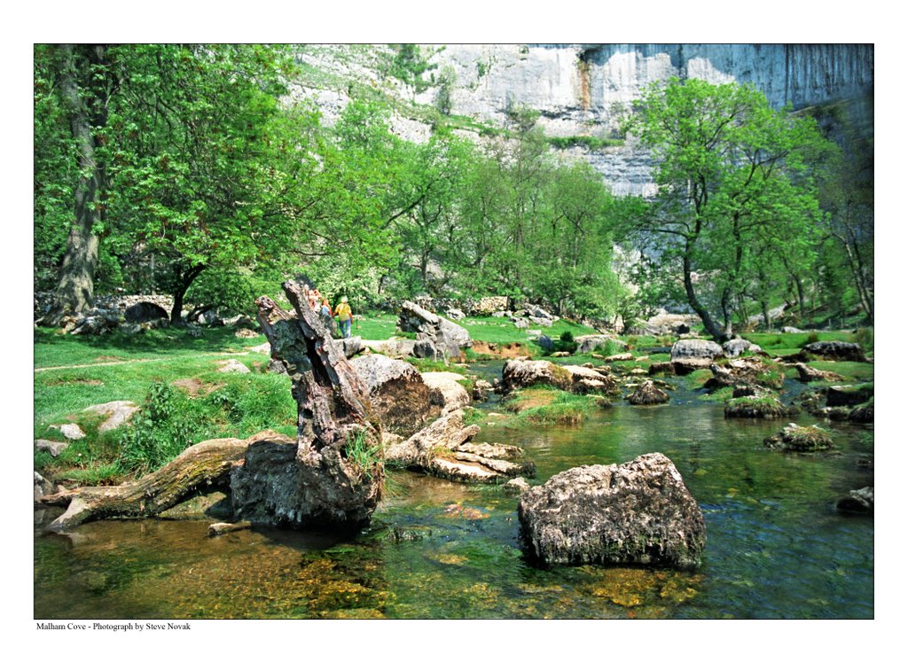 Abundance of water in the spring by stevenovak