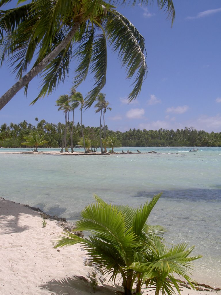 Unnamed Road, French Polynesia by Virginie & Yoann