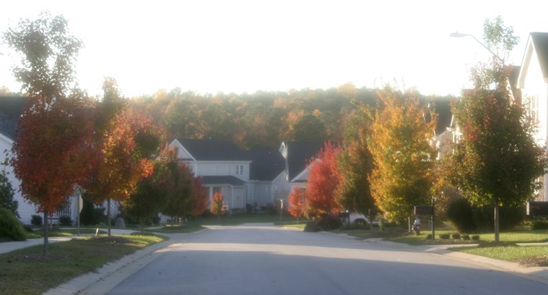 Sunset Oaks Holly Springs by susanneleasure