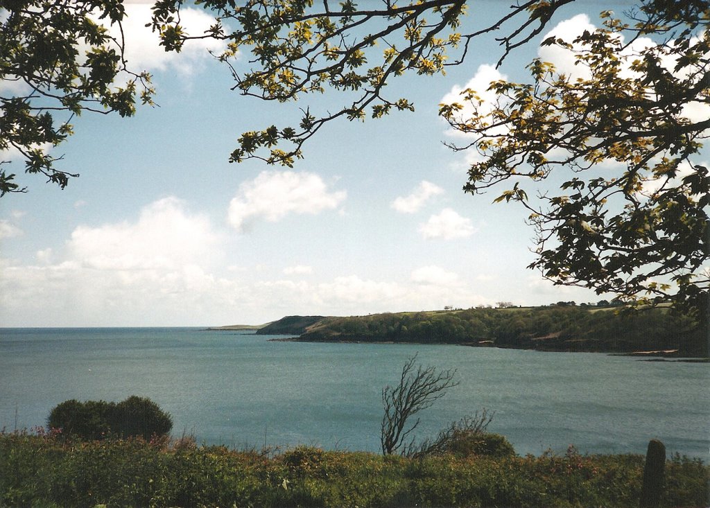 Seaview from Trebah by Sandy Rae