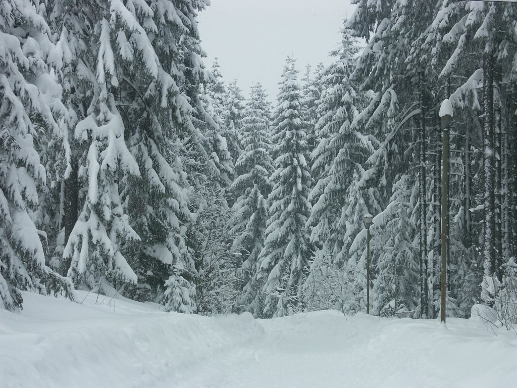 Czarna Góra, Poland by Laudun