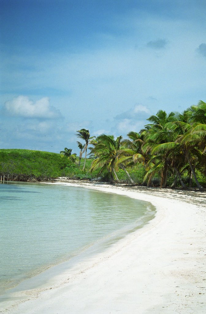 The Beach at Isla Contoy by DailyVenture