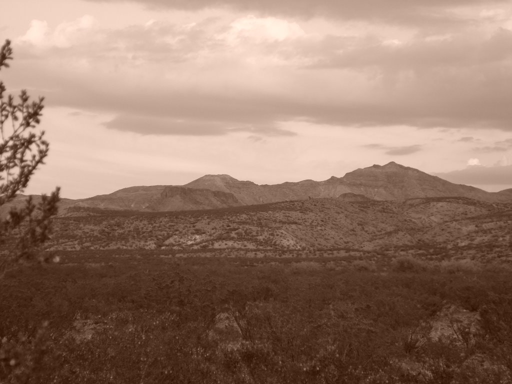 ALAMOS DE SAN ANTONIO by Ing. Juan Carlos Mor…