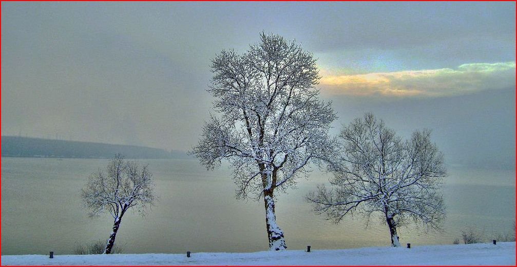 Tre alberi sul lago inferiore by 'osolemio