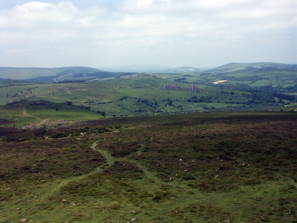 Haytor, Dartmoor by grovesmuk