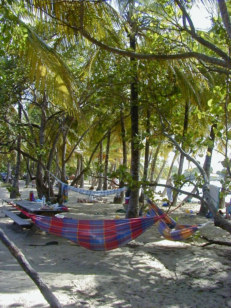 Hamacs à la plage des Salines by quaranta