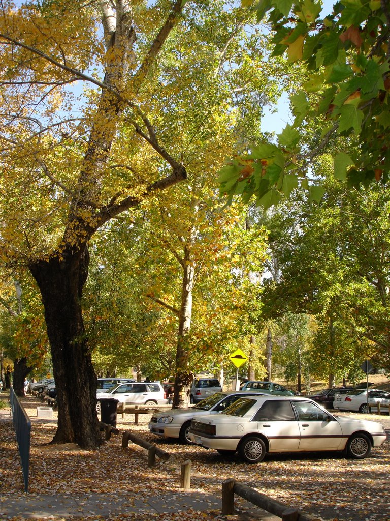 Cotter Reserve Parking by Mark Read