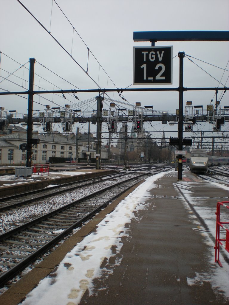 Gare de Dijon - Février 2009 by jjwill