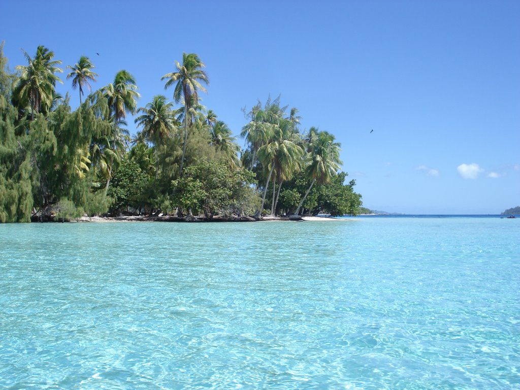 Unnamed Road, French Polynesia by Virginie & Yoann