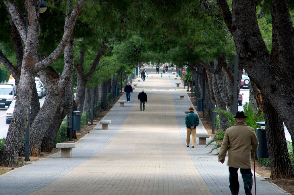 Torrent /paseo de "la Avenida" by urbanosuarez