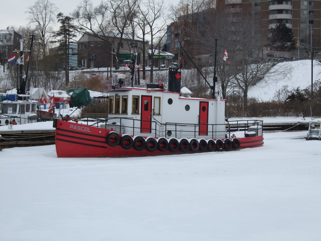 Pascol in frozen Oakville Harbor by cyntone