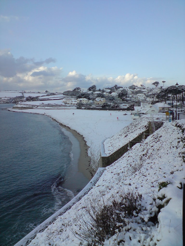 Snow at Gyllyngvase Beach 2009 by dt237