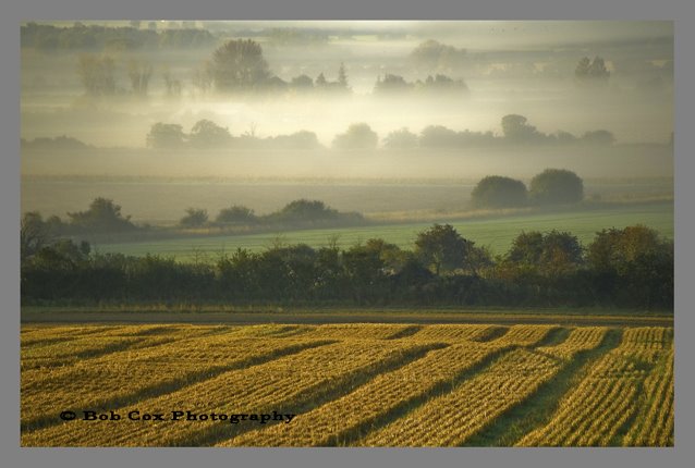 Patterns by bobcoxphotography