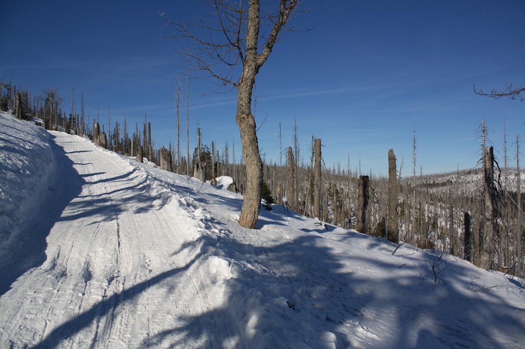 Winterwanderweg zum Lusel by Martin Roth