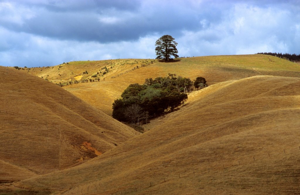 Farmland near Kawakawa Bay, NZ by roland.fr