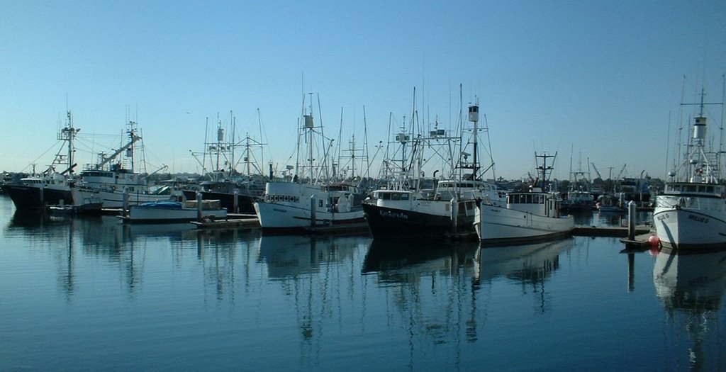 Fish harbor by Arthau Pierre-Paul