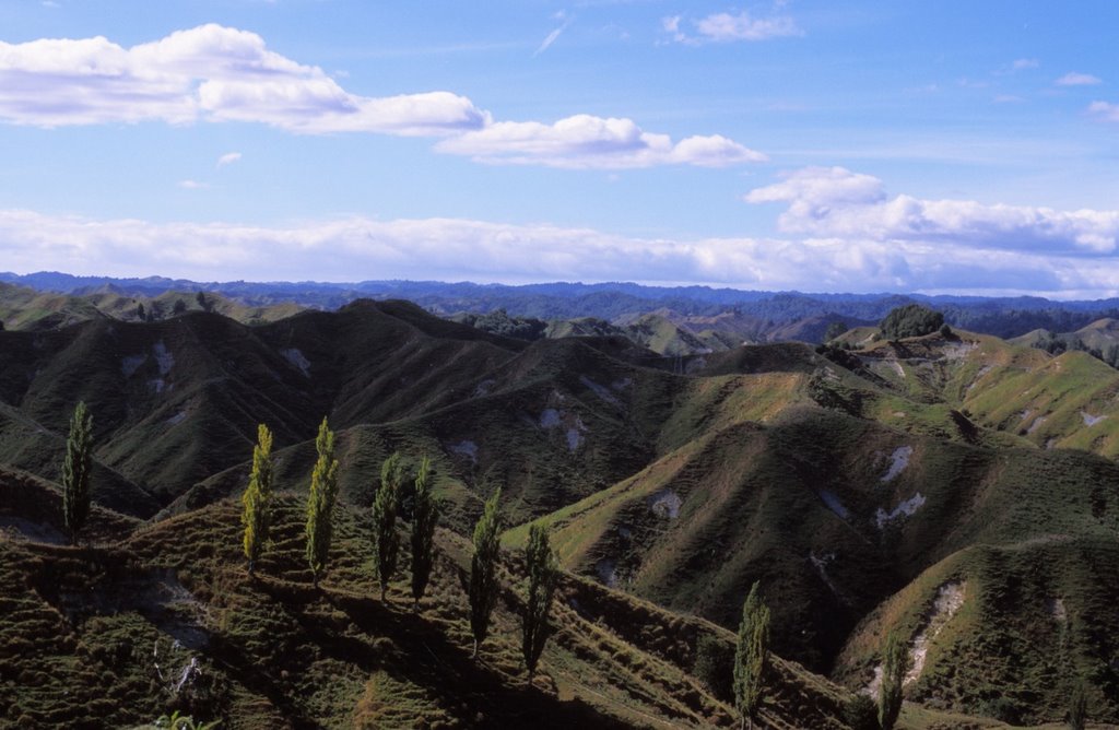 Hwy 43 Stratford-Taumarunui Heritage Trail, NZ by roland.fr