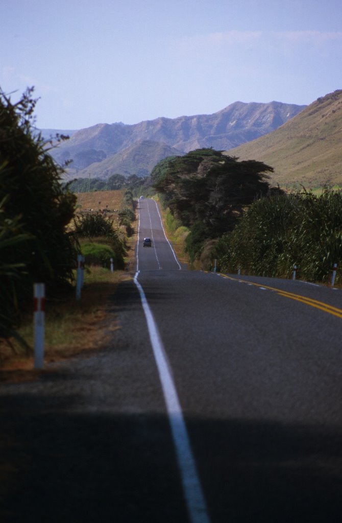 Hwy 3, Mokau Road, NZ by roland.fr