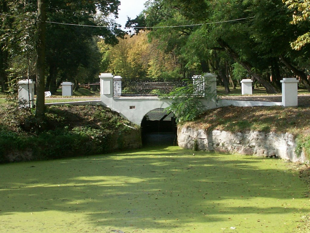 Gmina Kiernozia, Poland by Laudun