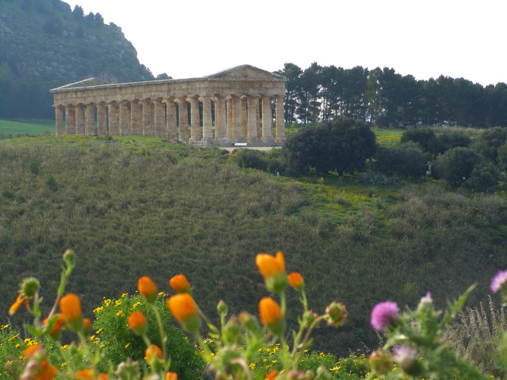 Tempio greco - Segesta by ღ Greta Somaini