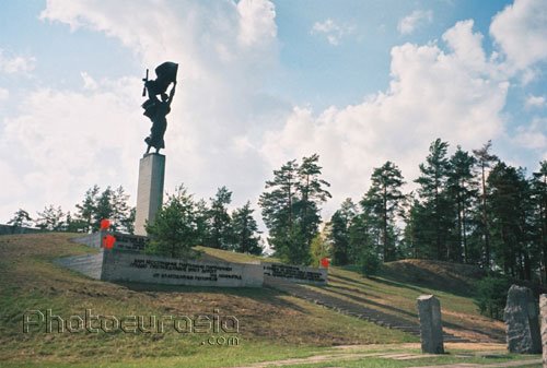 Luzhsky District, Leningrad Oblast, Russia by AnFeNi