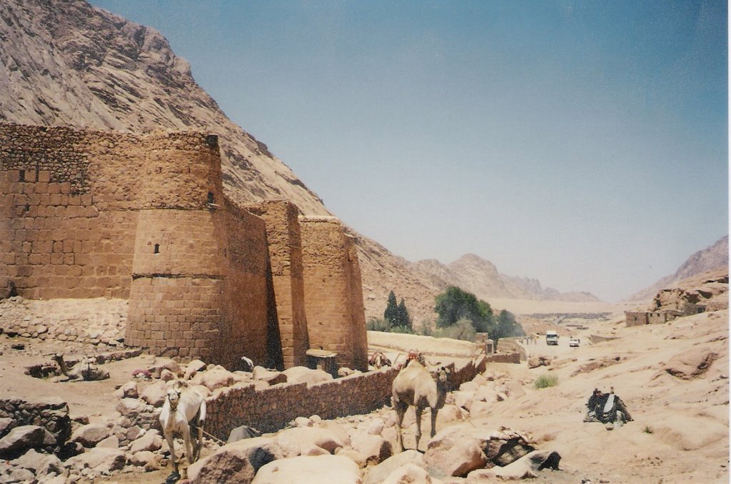 St Catherine's Monestary - Mount Sinai by Andrew K