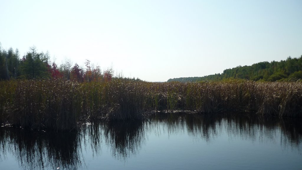 Mer Bleu Marsh by kbriannephoto