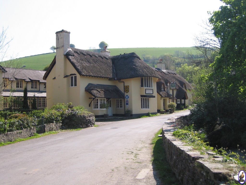 The Royal Oak - Winsford by The Colourful Eagle