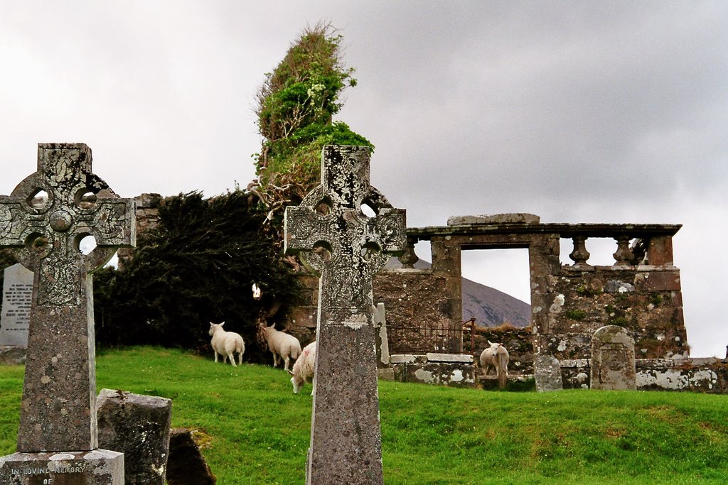 Cemetery with sheeps by Snoops