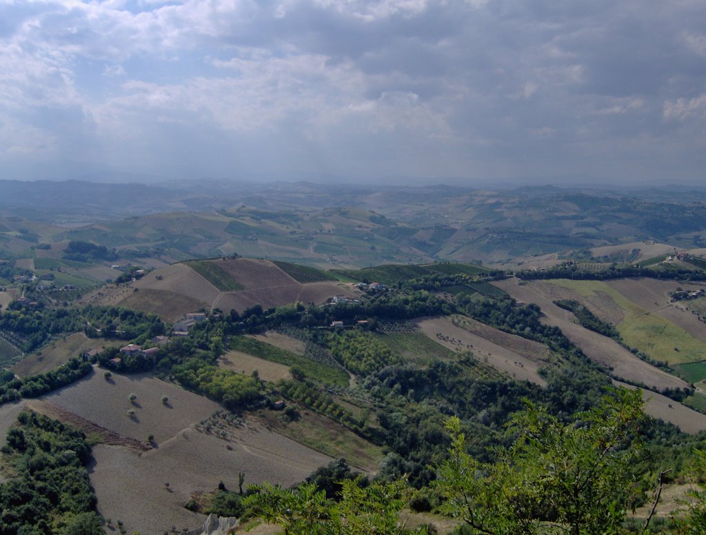 Colli del piceno by Herakleitos