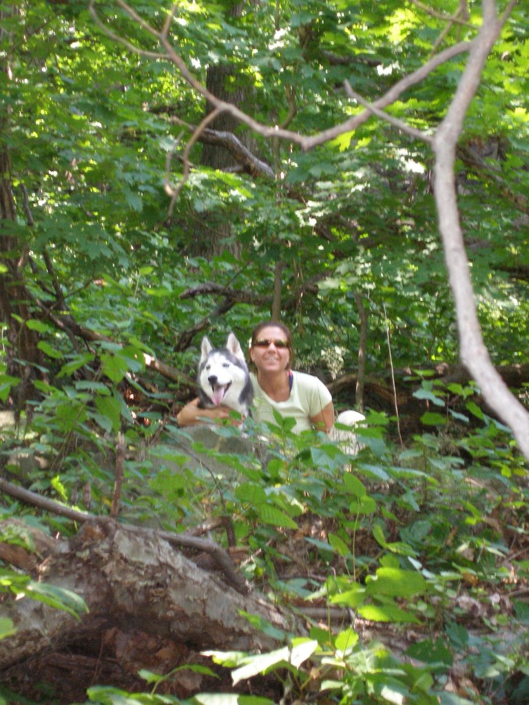 The Pallisades Interstate Park, New Jersey. August 2008 by Gary Miotla