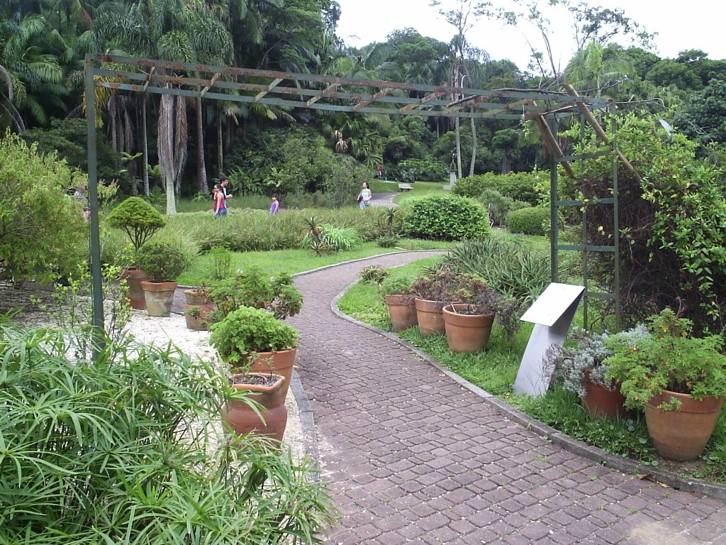 Jardim dos Sentidos - Jd Botânico de São Paulo CAM by Carlos Maniçoba