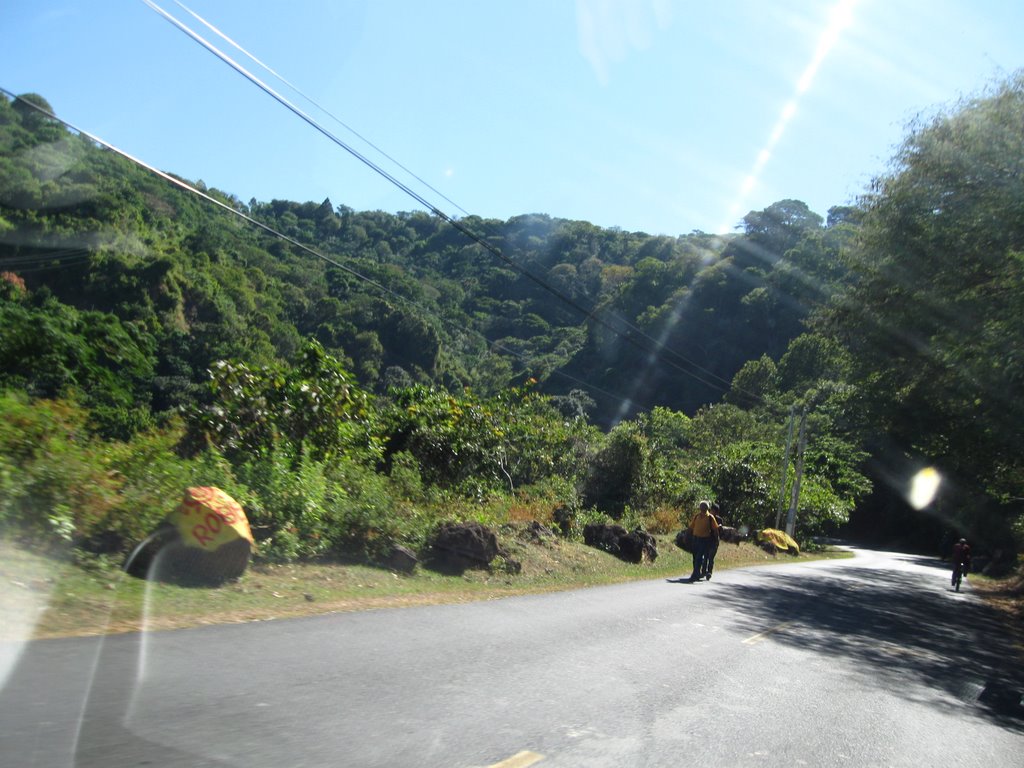 Camino hacia Alegria desde Berlin, Usulutan by alvaro07dimas