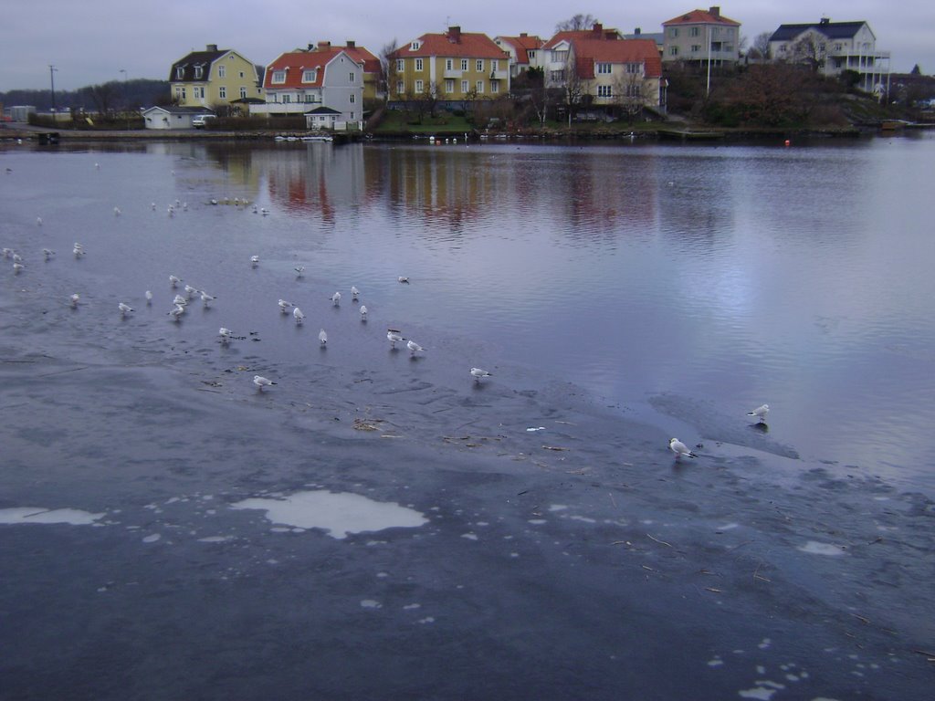 A lake in Karlskorna 2 by salamlaith