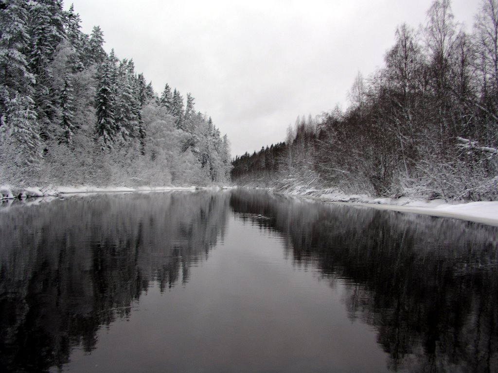 Kondopozhsky District, Republic of Karelia, Russia by Alexey G. Novikov