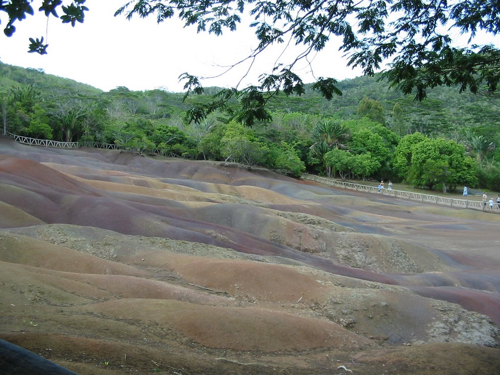 7 Coloured Earth by Sally Hardman