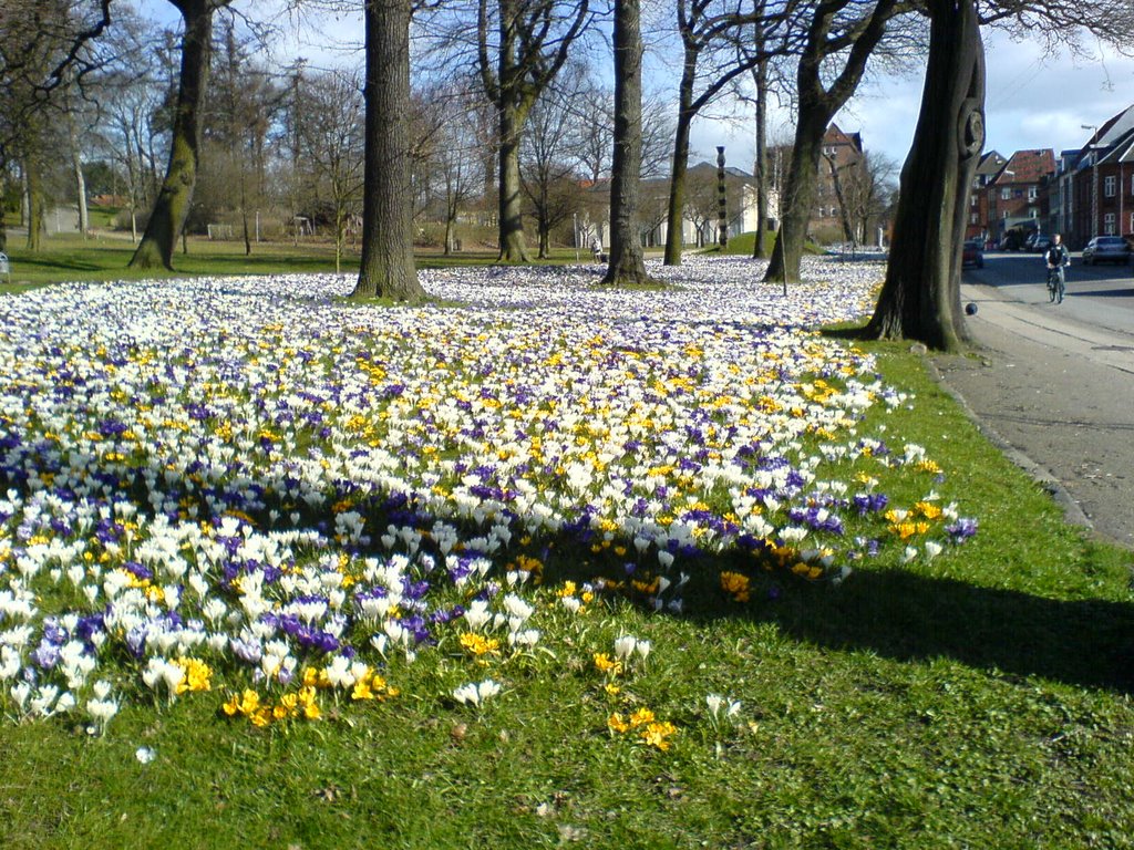 Forår ved Lunden - Horsens by Lovis