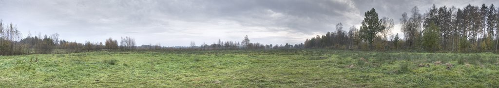 Bad Zwischenahn Moor by schorschhorst