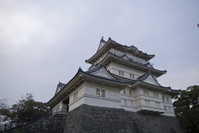 Odawara Castle by Tine Cesnik