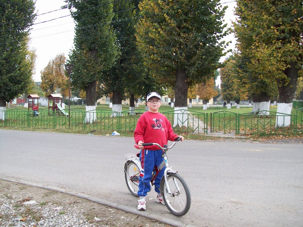 Hărman 507085, Romania by denisamaria