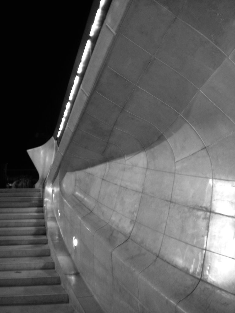 Ponte di Calatrava, detail by angela85