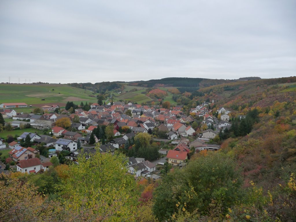 Weiler bei Monzingen - 09.10.2008 by Edgar El