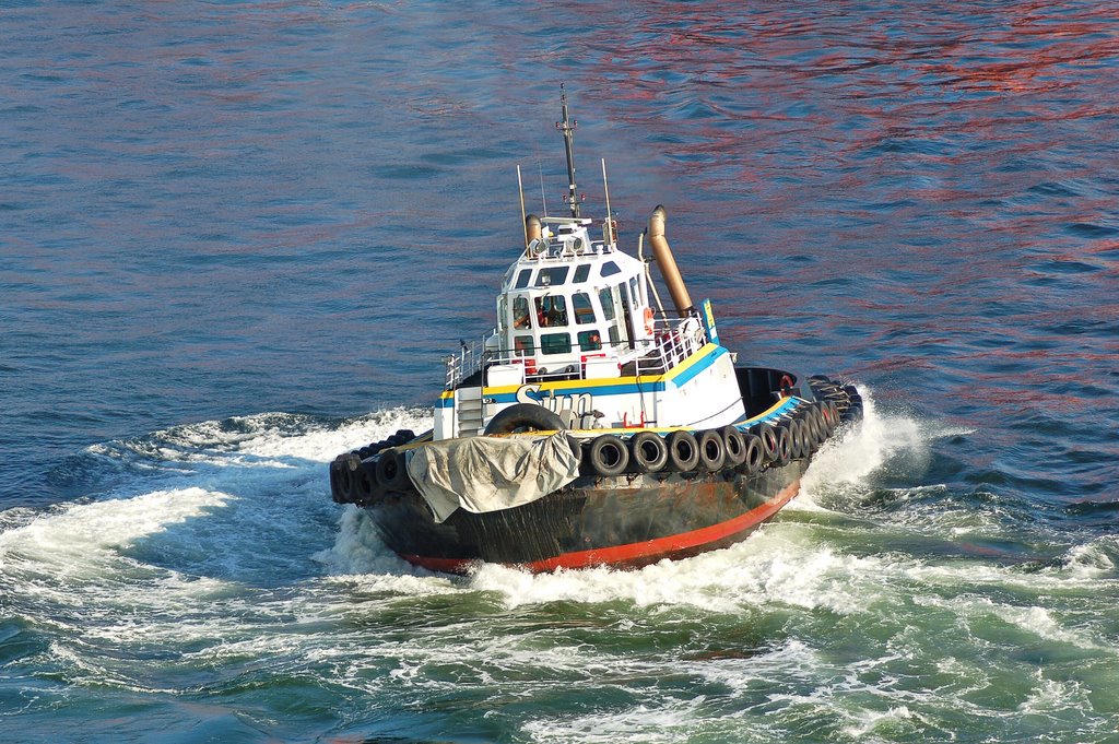 Tow boat show of their maneuverability (3 by Vittorio Mungiguerra