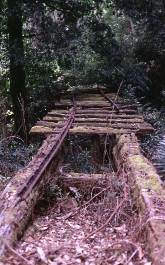 Wang Wauk Narrow Guage Logging RR bridge by OkPhoto