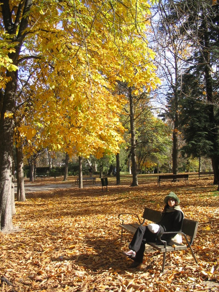 El Retiro en otoño by shinxenius