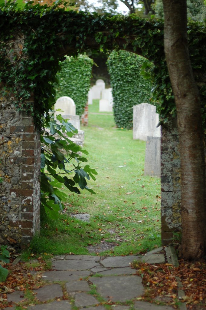 Graveyard Path by rafal.matula