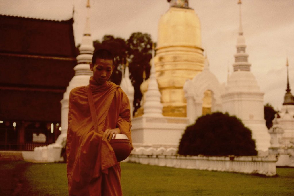 A monk in wat suwan doge by Kong Ta