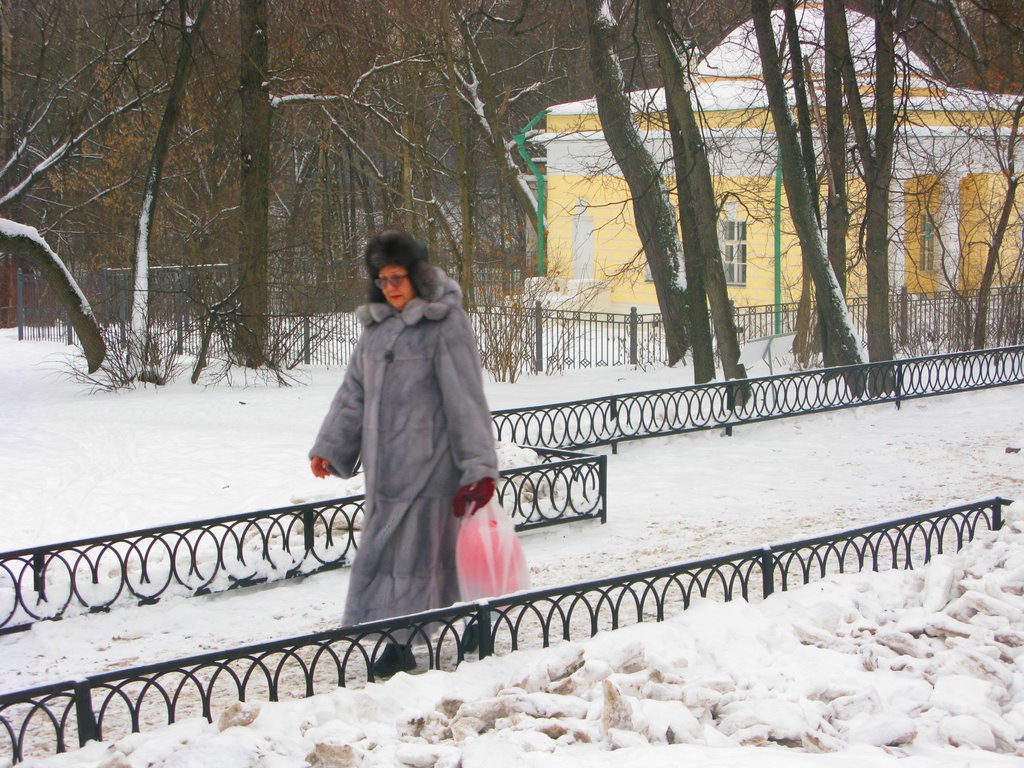 Снежная королева, м.Кузьминки, Москва, Россия by Oleg Yu.Novikov