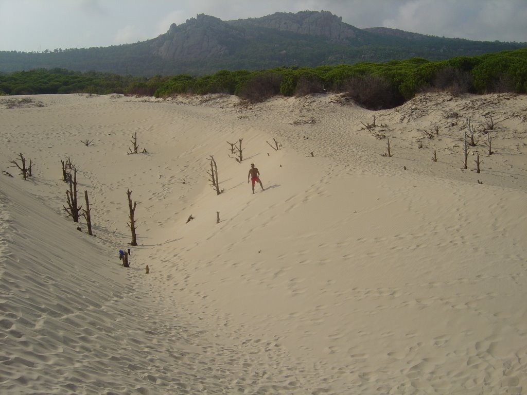 Dunas - Bolonia (Andalucia)h2go by hhgarnica